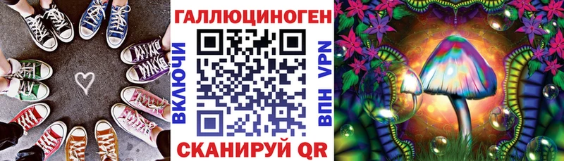 дарнет шоп  Нестеров  Псилоцибиновые грибы прущие грибы 